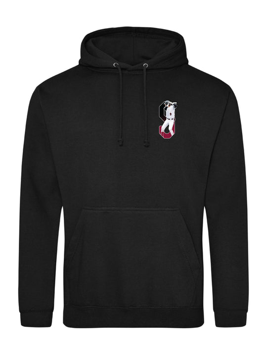 Brody Briggs Hoodie