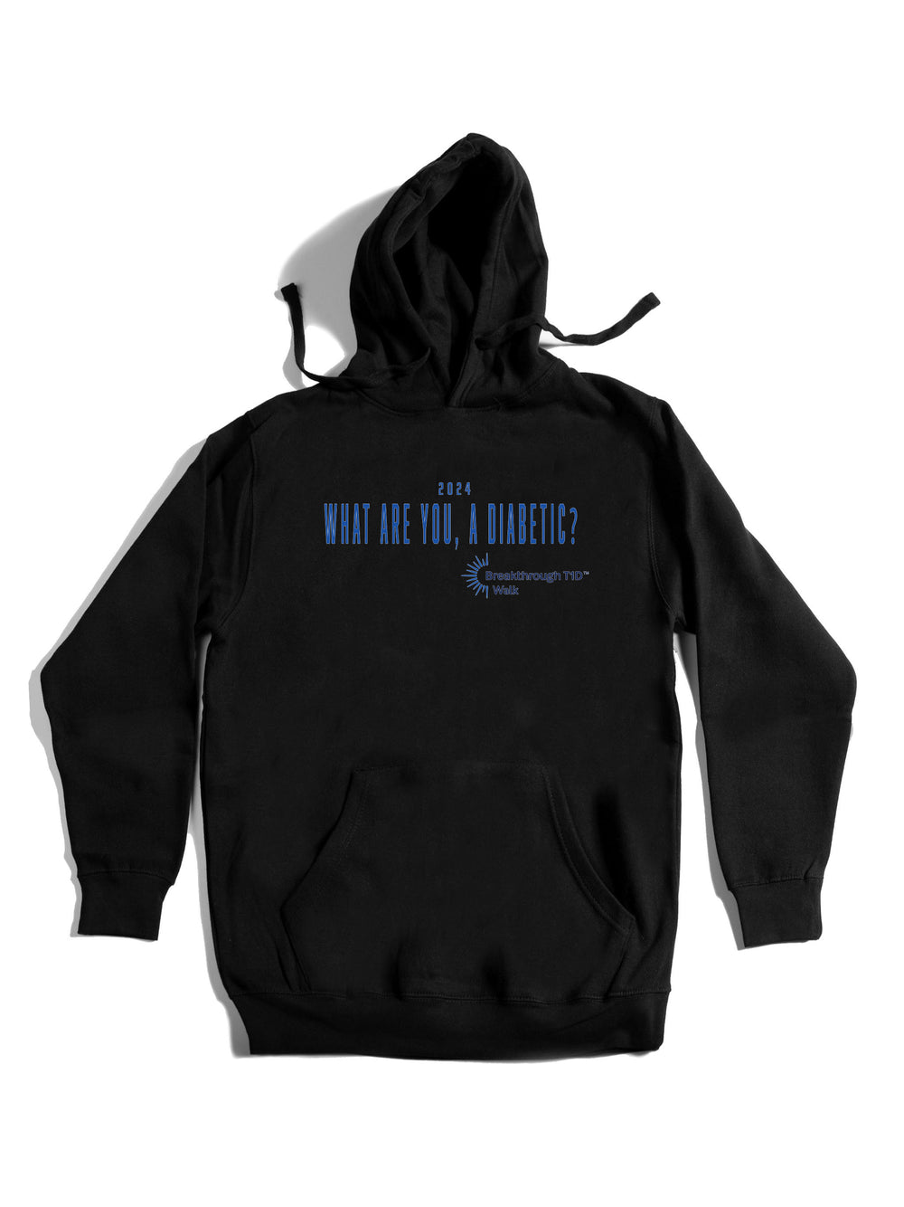 What are you a diabetic Hoodie