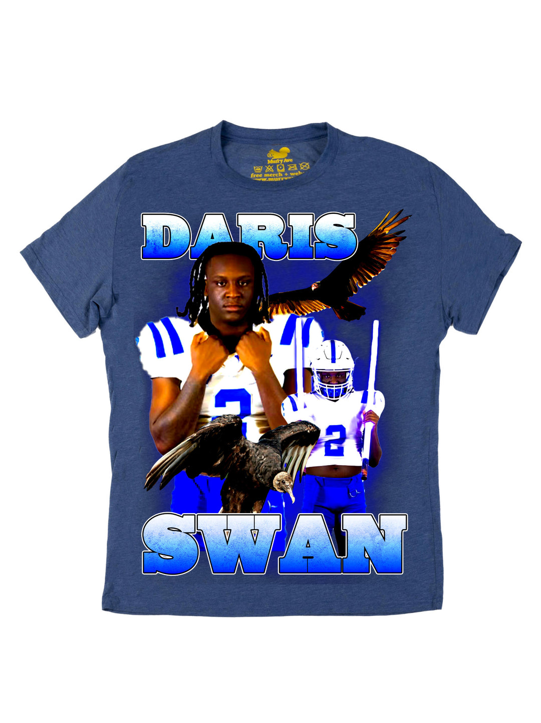 Daris Swan Oversized Print