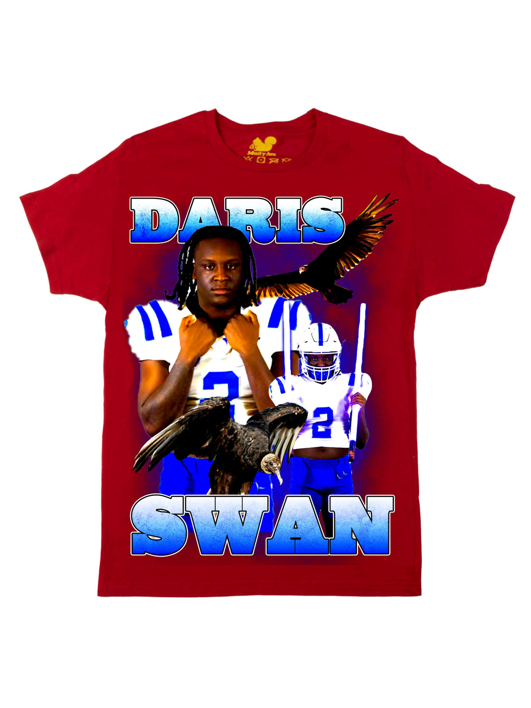 Daris Swan Oversized Print