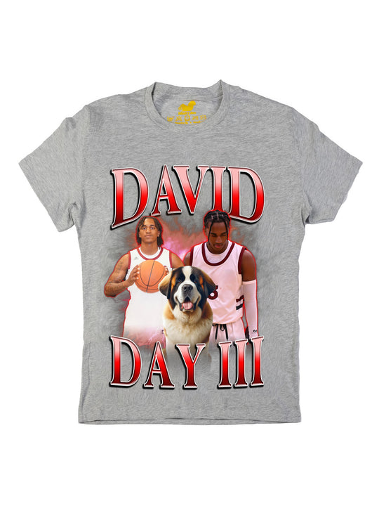 David Day Collage Oversize Print