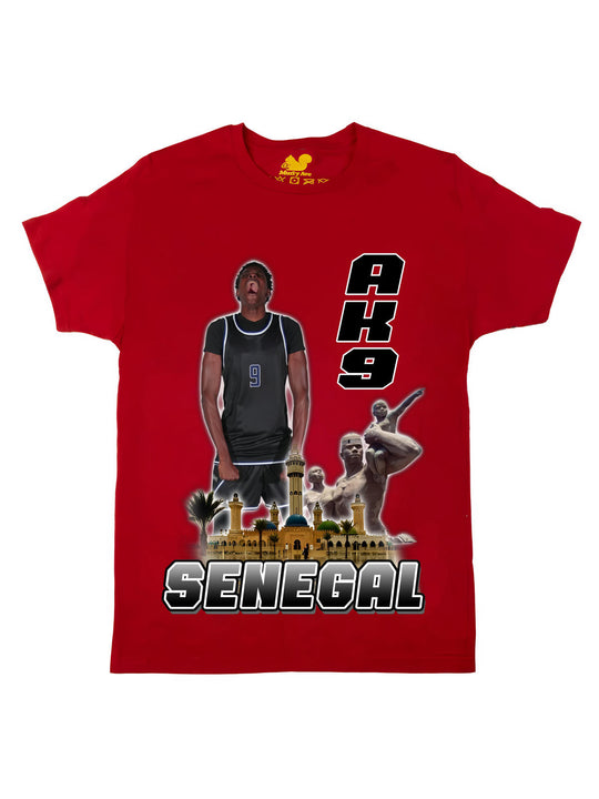 AK9 City Oversize Print