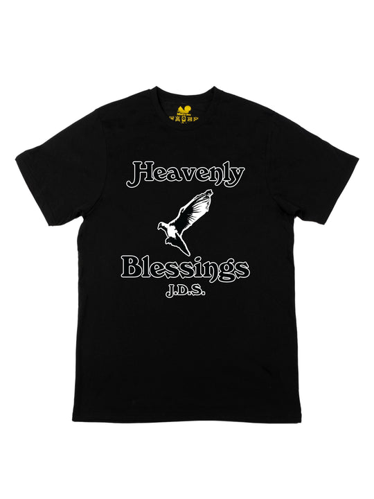 Heavenly Blessings Unisex T-Shirt