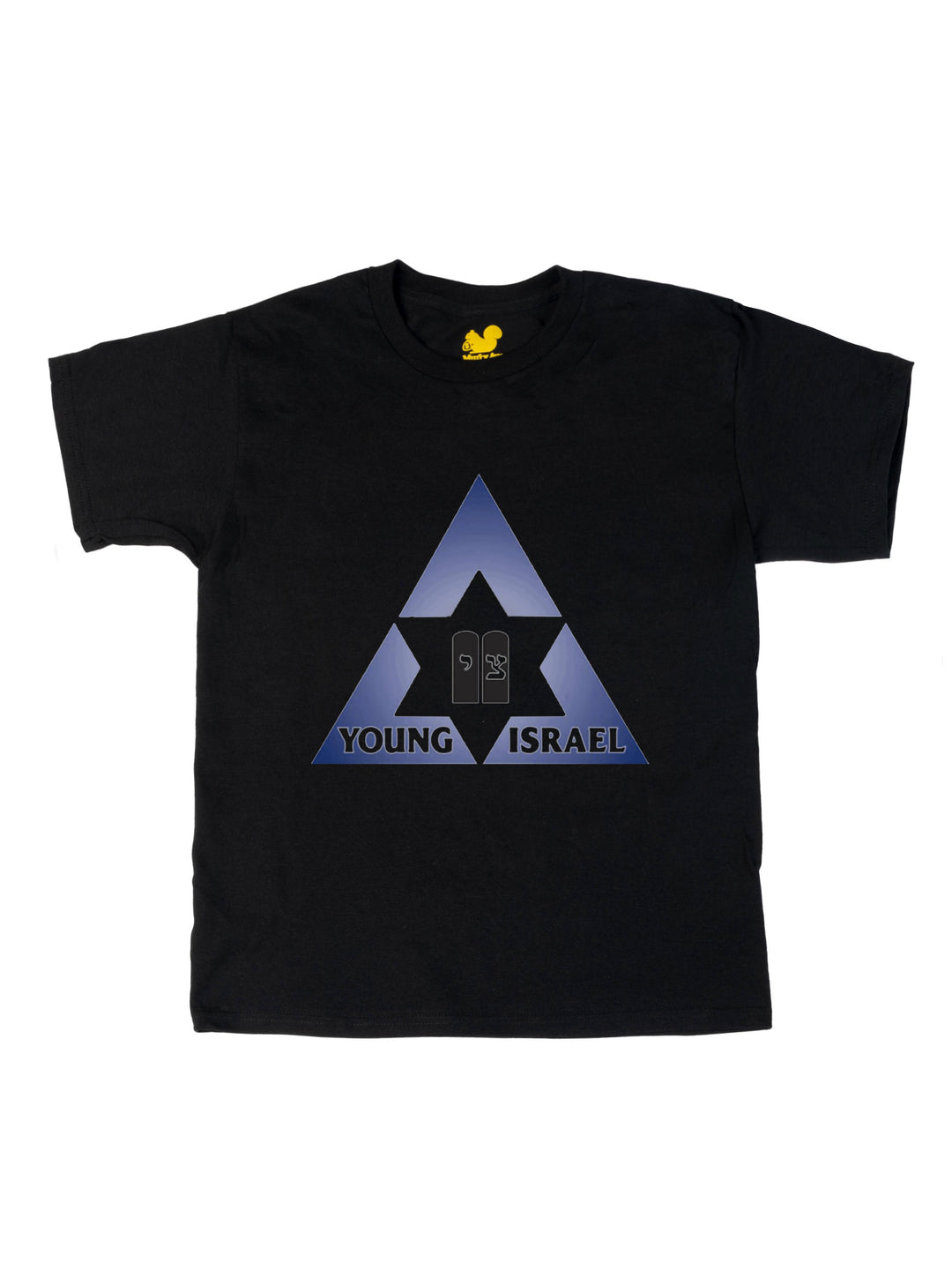 Young Israel of Pittsburgh Youth T-Shirt