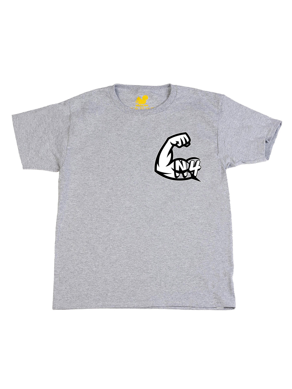 N4L Youth T-Shirt