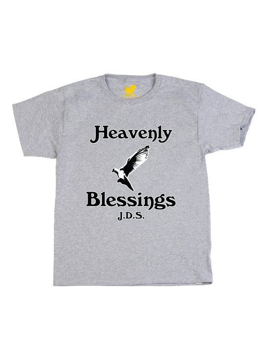 Heavenly Blessings Youth T-Shirt
