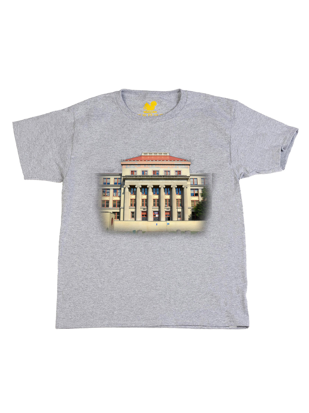 Taylor Allderdice HIgh School Youth T-Shirt