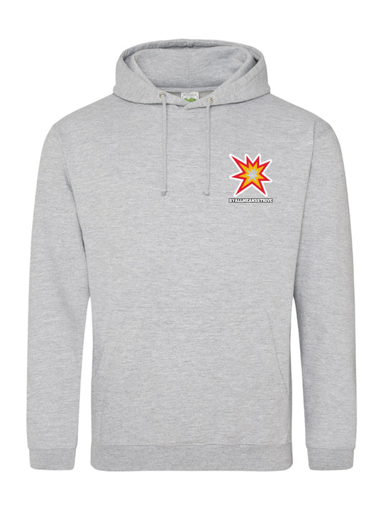 BAMS Hoodie